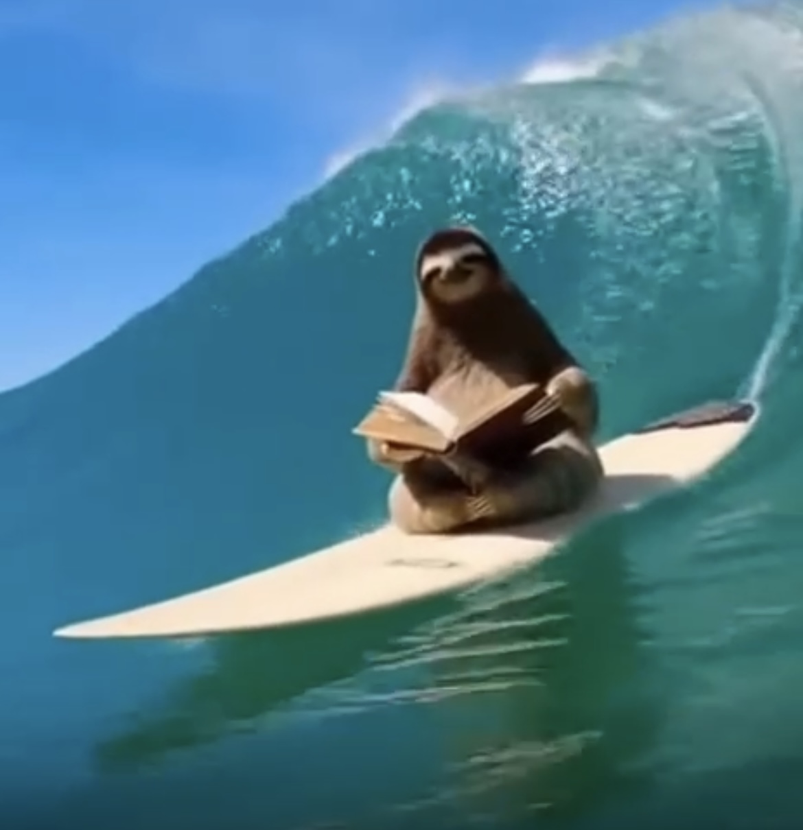 Read20min app logo - Sloth reading a book on surfboard, representing daily reading habit and relaxed book reading for 20 minutes a day